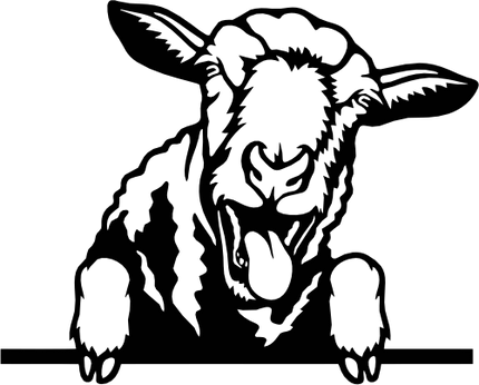 (356-02-1M) Peeking Sheep