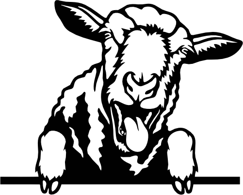 (356-02-1M) Peeking Sheep