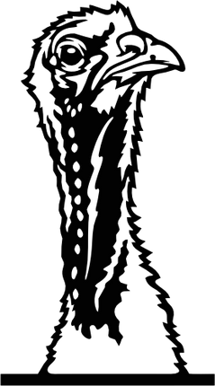 (356-02-1P) Peeking Turkey