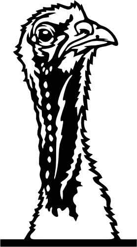 (356-02-1P) Peeking Turkey