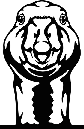 (356-02-1Q) Peeking Goose