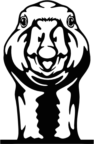 (356-02-1Q) Peeking Goose