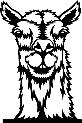 (356-02-1S) Peeking Llama