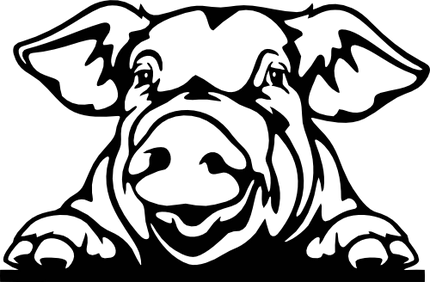(s356-02-1E) Peeking Pig