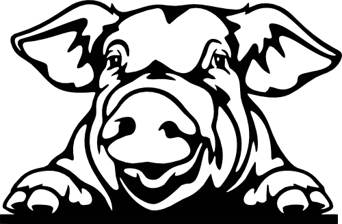 (356-02-1E) Peeking Pig