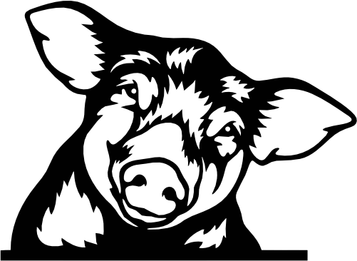 (356-02-1F) Peeking Pig