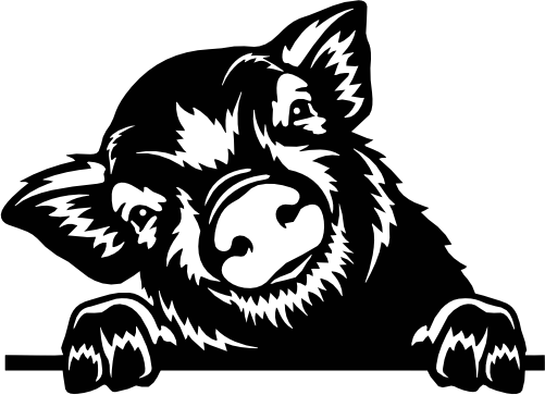 (356-02-1G) Peeking Pig