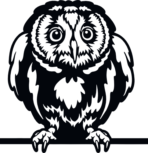 (356-03-2A) Peeking Owl