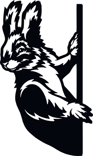 (356-03-1A) Peeking Squirrel