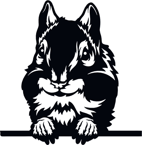 (356-03-1B) Peeking Chipmunk