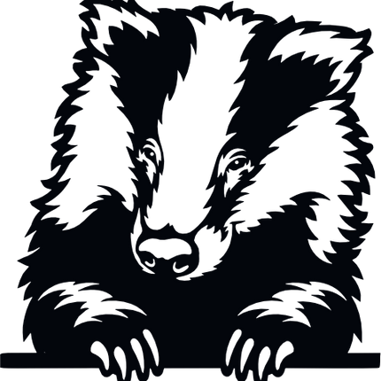 (356-03-1C) Peeking Badger