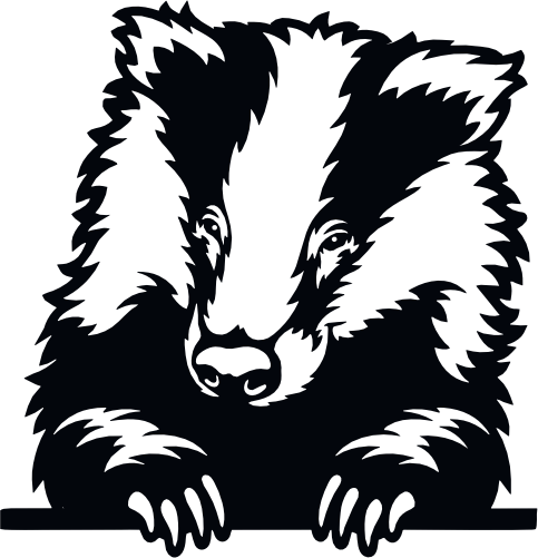 (356-03-1C) Peeking Badger