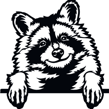 (356-03-1D) Peeking Racoon