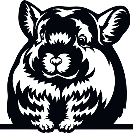 (356-03-1E) Peeking Chinchilla