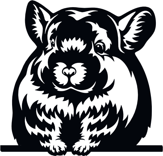 (356-03-1E) Peeking Chinchilla