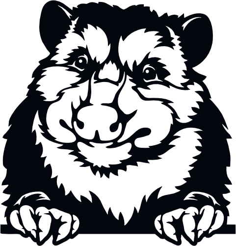 (356-03-1F) Peeking Animal