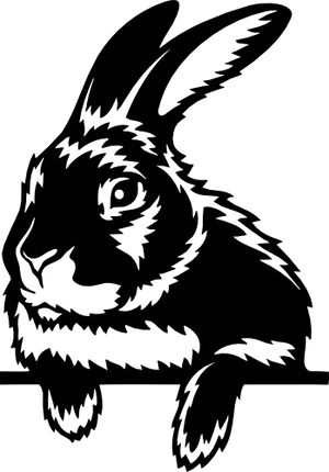 (356-03-1G) Peeking Bunny