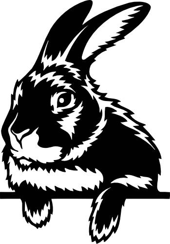 (356-03-1G) Peeking Bunny