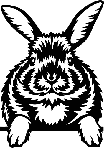 (356-03-1H) Peeking  Bunny