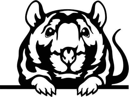 (356-03-1I) Peeking Mouse