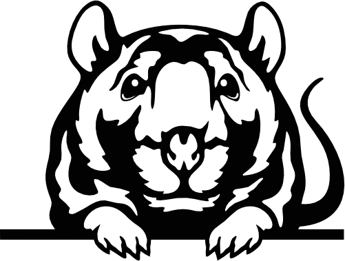 (356-03-1I) Peeking Mouse