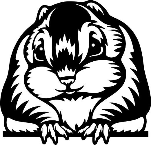 (356-03-1K) Peeking Hamster