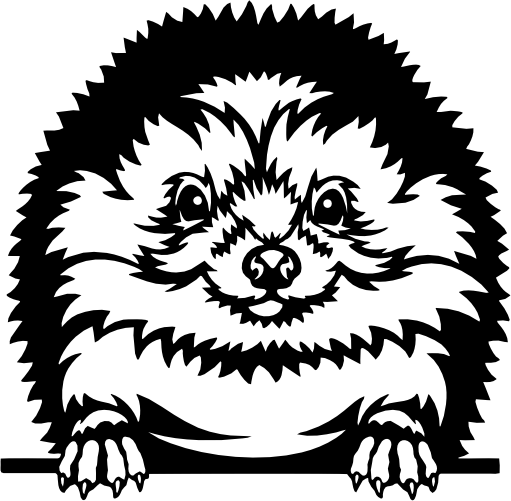 (356-03-1L) Peeking Hedgehog