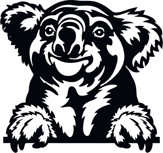 (356-03-1N) Peeking Koala