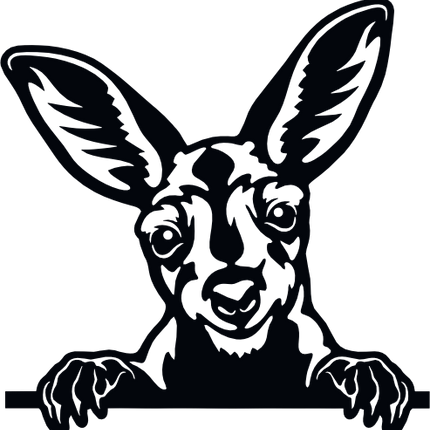 (356-03-1O) Peeking Kangaroo