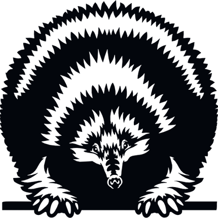 (356-03-1P) Peeking Echidna