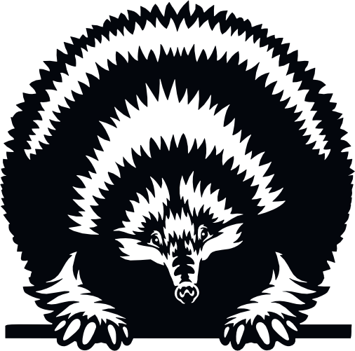 (356-03-1P) Peeking Echidna