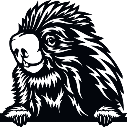 (356-03-1Q) Peeking Mexican Tree Porcupine