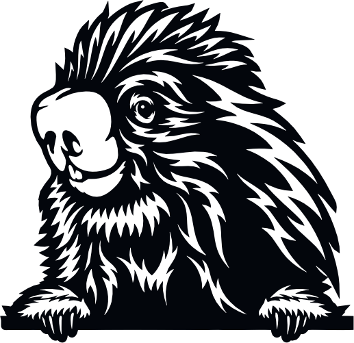 (356-03-1Q) Peeking Mexican Tree Porcupine