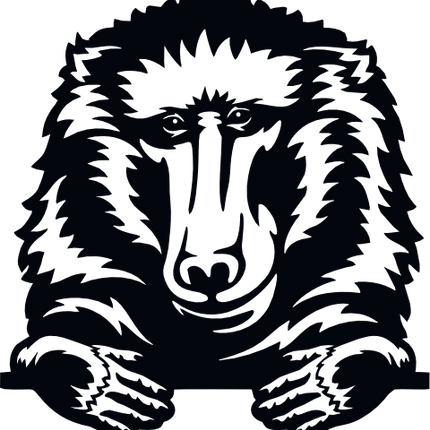 (356-03-1R) Peeking Baboon