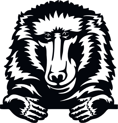 (356-03-1R) Peeking Baboon