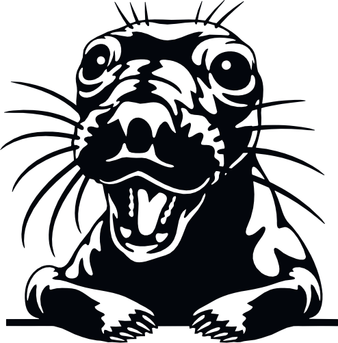 (356-03-1S) Peeking Otter