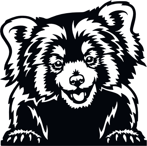 (356-03-1U) Peeking Red Panda