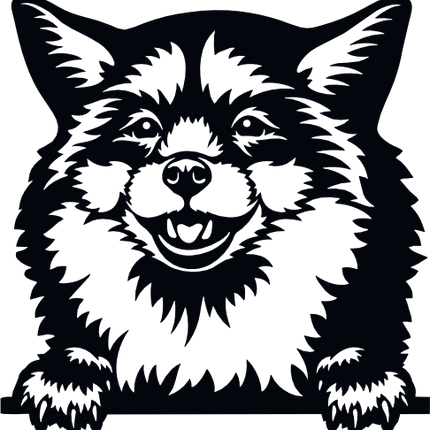 (356-03-1V) Peeking Animal