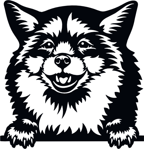 (356-03-1V) Peeking Animal