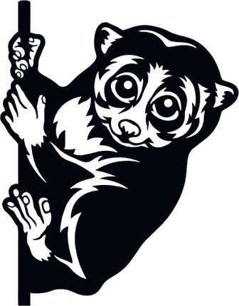 (356-03-1W) Peeking Loris