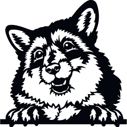 (356-03-1X) Peeking Animal