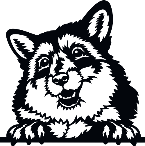 (s356-03-1X) Peeking Animal