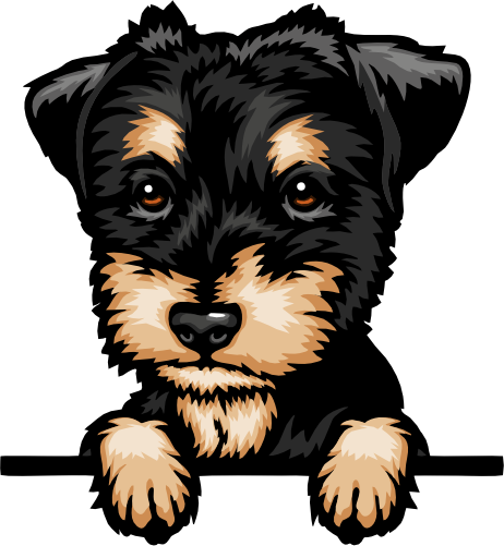 (356-07-10G) Peeking Yorkie Iron-On Transfer