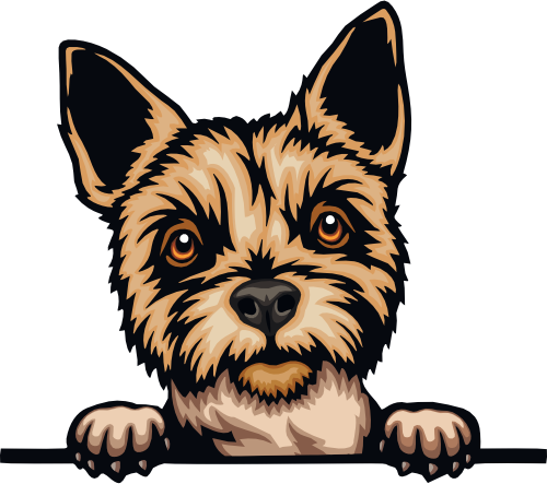 (356-07-5Q) Peeking Yorkie Iron-On Transfer