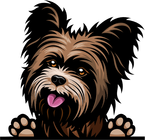 (356-07-5X) Peeking Yorkie Iron-On Transfer