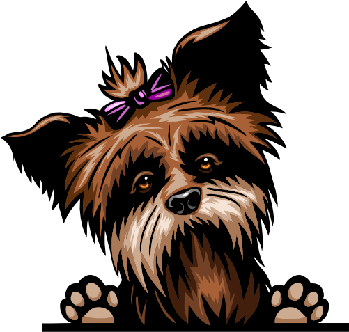 (356-07-7O) Peeking Yorkie Iron-On Transfer