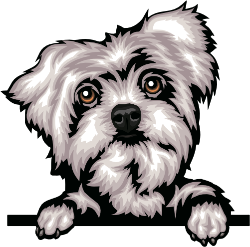 (356-07-9C) Peeking Yorkie Iron-On Transfer