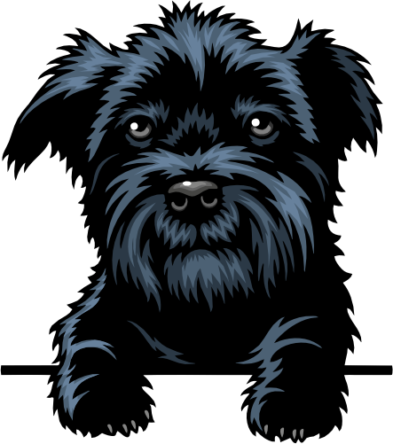 (356-07-9Z) Peeking Yorkie Iron-On Transfer