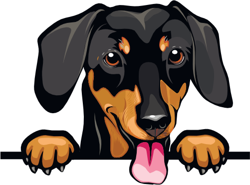 (s356-07-1Q) Peeking Dachsund