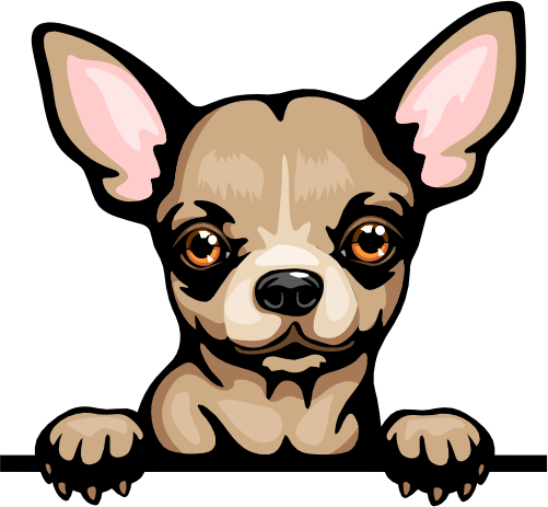 (s356-07-7S)  Peeking Chihuhua
